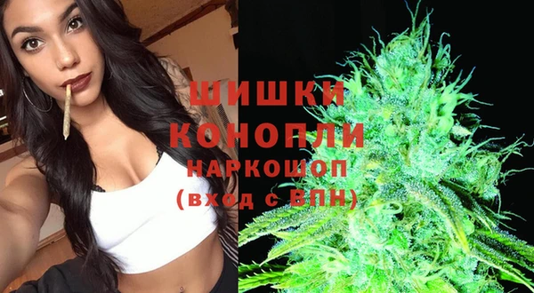 прущая мука Новодвинск