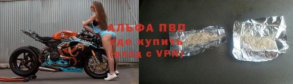 спиды Новокубанск