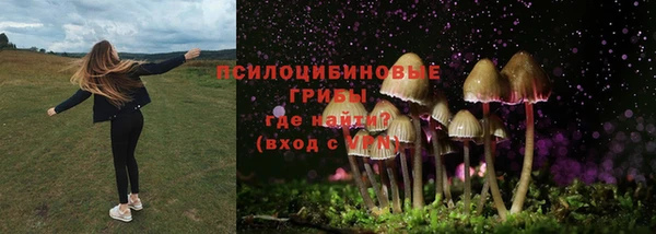 спиды Новокубанск