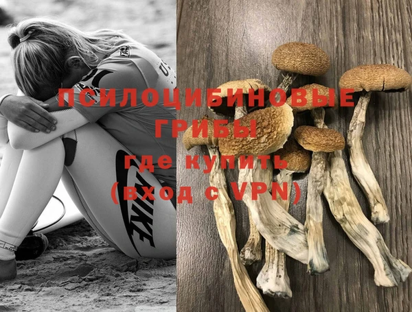 спиды Новокубанск